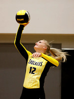 WSU volleyball